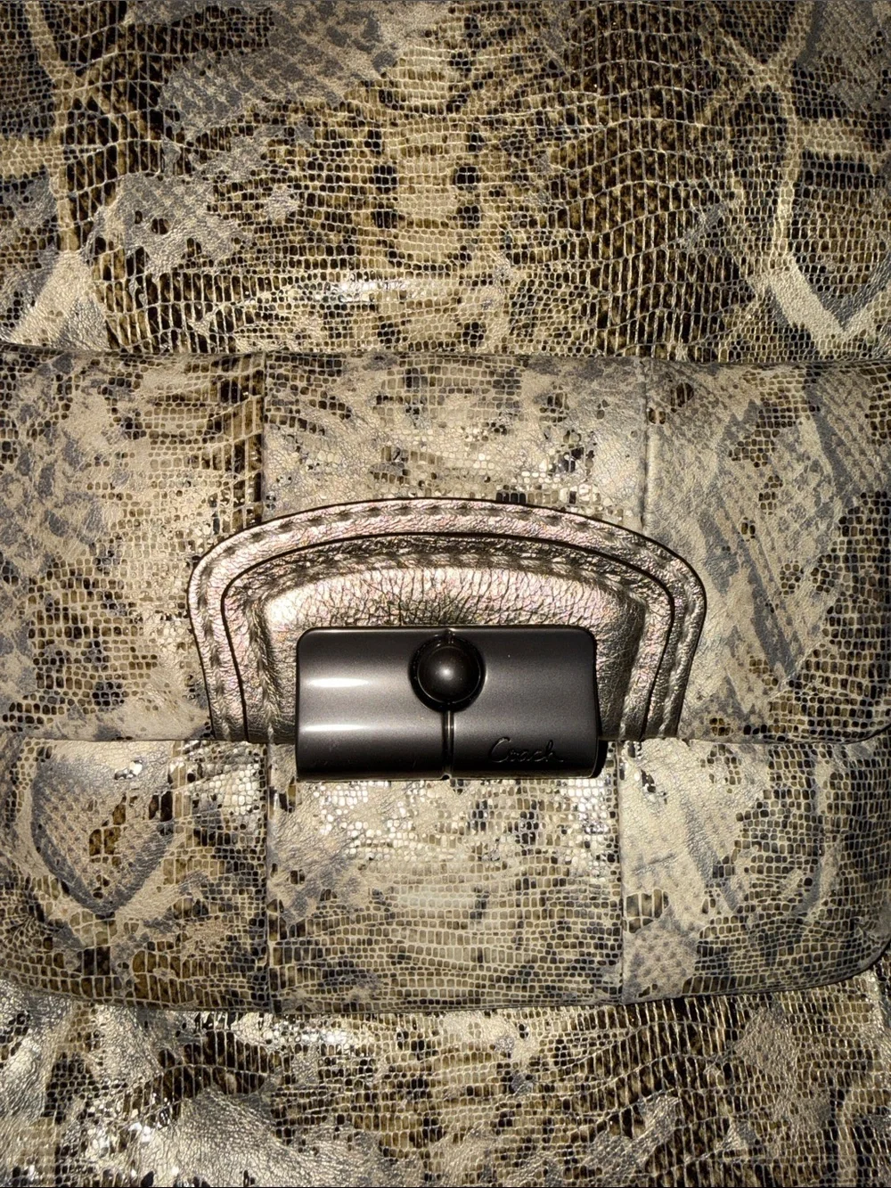 Coach Python-Print Leather Shoulder Bag Double Strap